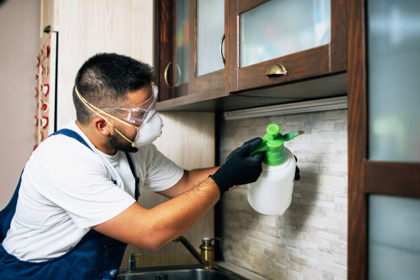 Best Emergency Pest Control  in Del Rio, CA