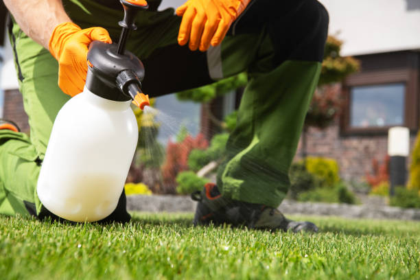 Best Bed Bug Extermination  in Del Rio, CA