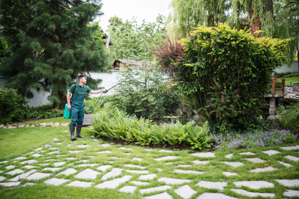 Best Commercial Pest Control Services  in Del Rio, CA
