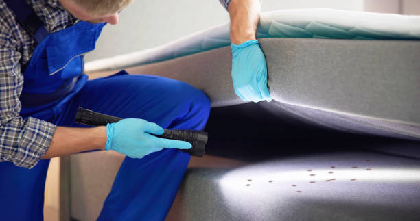 Reliable Del Rio, CA Pest Control Solutions
