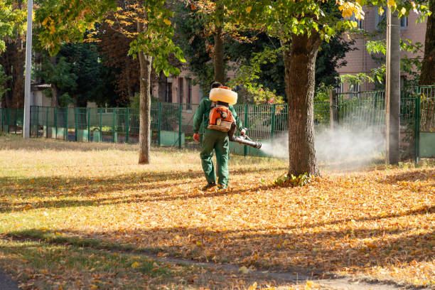 Best Pest Removal Services  in Del Rio, CA