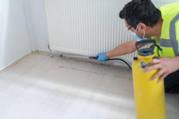 Best Exterminator Services  in Del Rio, CA