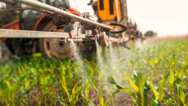 Best Ant Control Services  in Del Rio, CA